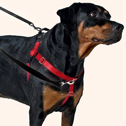 Top Harness for Pitbull Reviews