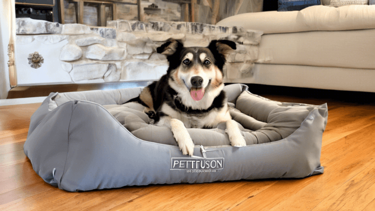 PetFusion Ultimate Dog Bed, Orthopedic Memory Foam, Multiple Sizes and Colors, Medium Firmness Pillow, Waterproof Liner, YKK Zippers, Breathable 35% Cotton Cover